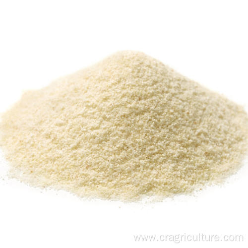 Top Quality Garlic Dry Powder Vegetables